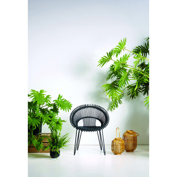 Roxy Dining Chair Vincent Sheppard 